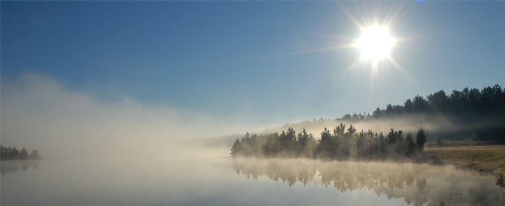 Foggy Pond